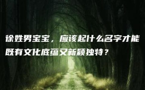 徐姓男宝宝，应该起什么名字才能既有文化底蕴又新颖独特？