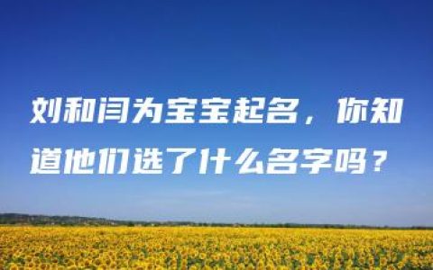 刘和闫为宝宝起名，你知道他们选了什么名字吗？