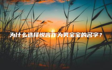 为什么选择悦言作为男宝宝的名字？