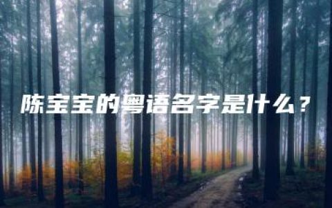 陈宝宝的粤语名字是什么？