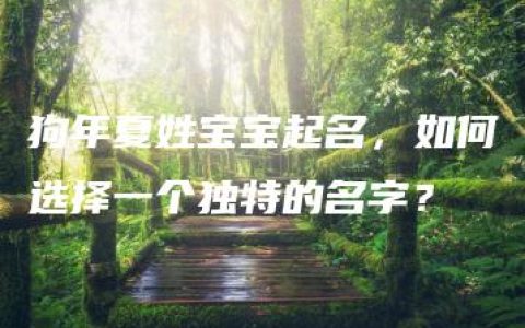 狗年夏姓宝宝起名，如何选择一个独特的名字？