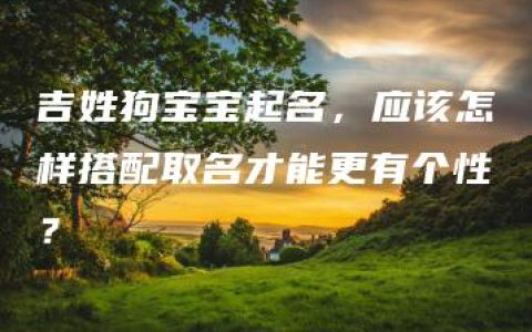 吉姓狗宝宝起名，应该怎样搭配取名才能更有个性？