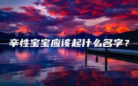 辛性宝宝应该起什么名字？