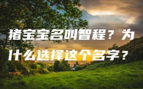 猪宝宝名叫智程？为什么选择这个名字？