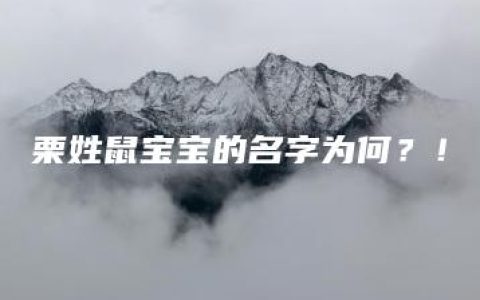 栗姓鼠宝宝的名字为何？！