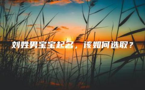 刘姓男宝宝起名，该如何选取？