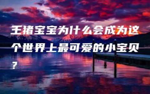 王猪宝宝为什么会成为这个世界上最可爱的小宝贝？