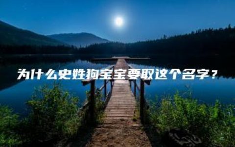 为什么史姓狗宝宝要取这个名字？