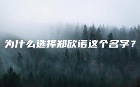 为什么选择郑欣诺这个名字？