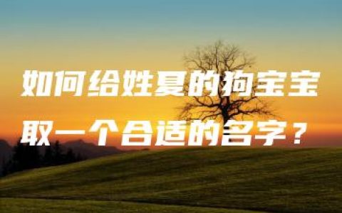 如何给姓夏的狗宝宝取一个合适的名字？