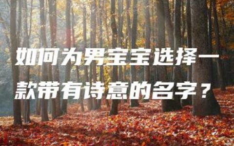 如何为男宝宝选择一款带有诗意的名字？