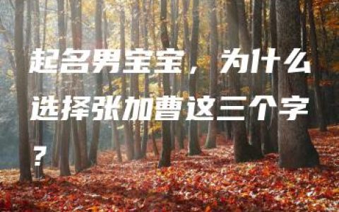 起名男宝宝，为什么选择张加曹这三个字？