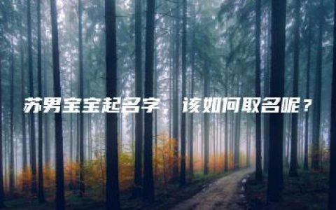 苏男宝宝起名字，该如何取名呢？