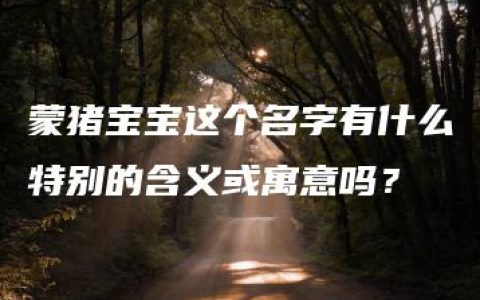 蒙猪宝宝这个名字有什么特别的含义或寓意吗？