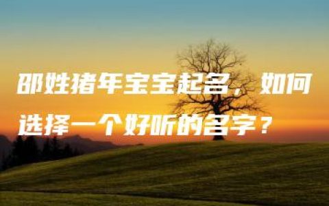 邵姓猪年宝宝起名，如何选择一个好听的名字？