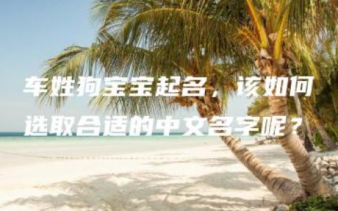 车姓狗宝宝起名，该如何选取合适的中文名字呢？