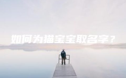 如何为猫宝宝取名字？