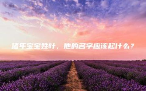 猪年宝宝姓叶，他的名字应该起什么？