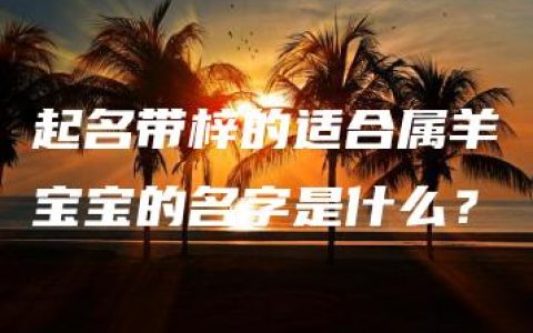 起名带梓的适合属羊宝宝的名字是什么？