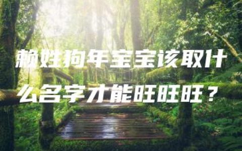 赖姓狗年宝宝该取什么名字才能旺旺旺？