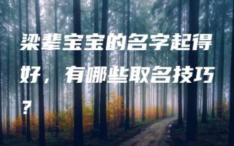 梁辈宝宝的名字起得好，有哪些取名技巧？