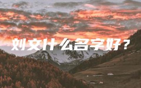 刘文什么名字好？