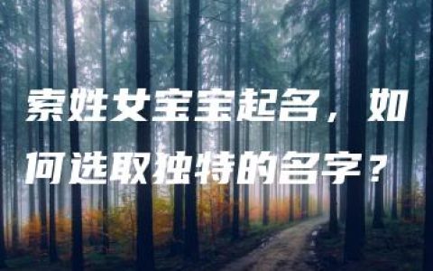 索姓女宝宝起名，如何选取独特的名字？