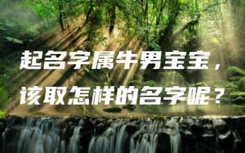 起名字属牛男宝宝，该取怎样的名字呢？