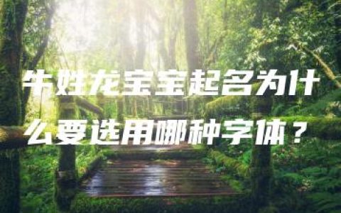 牛姓龙宝宝起名为什么要选用哪种字体？