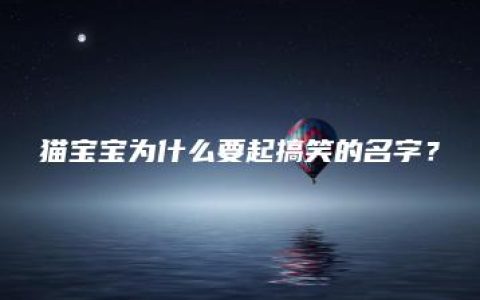 猫宝宝为什么要起搞笑的名字？