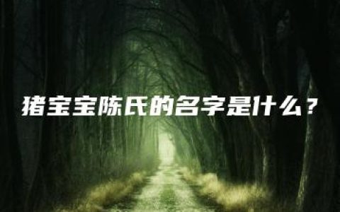 猪宝宝陈氏的名字是什么？