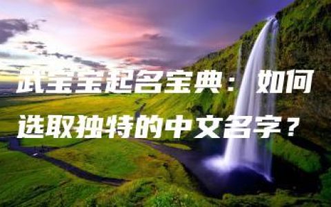 武宝宝起名宝典：如何选取独特的中文名字？