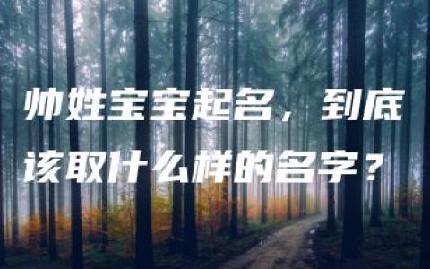 帅姓宝宝起名，到底该取什么样的名字？