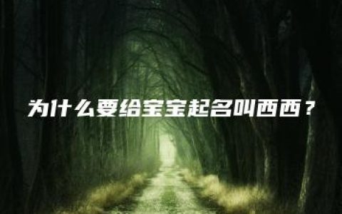 为什么要给宝宝起名叫西西？