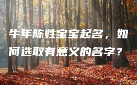 牛年陈姓宝宝起名，如何选取有意义的名字？