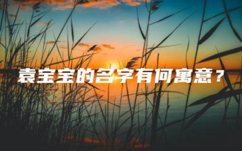 袁宝宝的名字有何寓意？