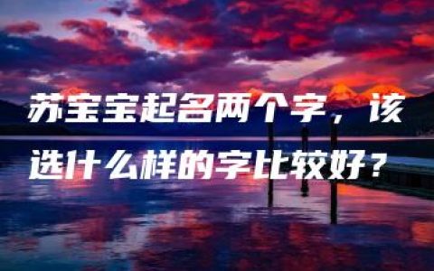 苏宝宝起名两个字，该选什么样的字比较好？