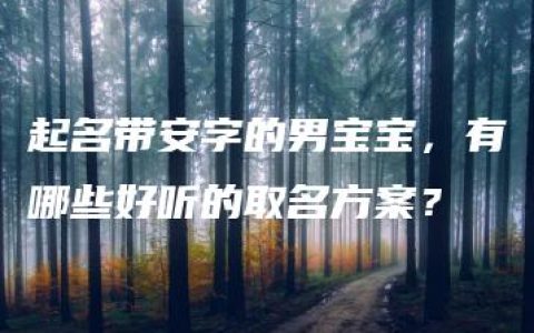 起名带安字的男宝宝，有哪些好听的取名方案？