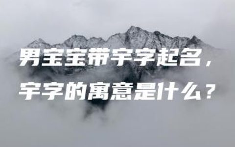 男宝宝带宇字起名，宇字的寓意是什么？