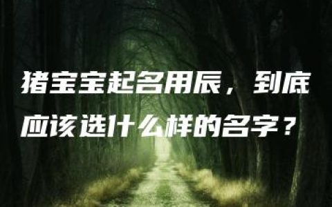 猪宝宝起名用辰，到底应该选什么样的名字？