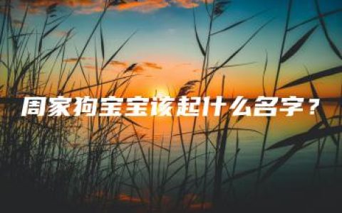 周家狗宝宝该起什么名字？