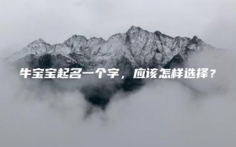 牛宝宝起名一个字，应该怎样选择？