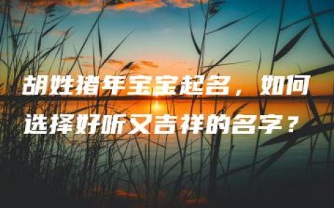 胡姓猪年宝宝起名，如何选择好听又吉祥的名字？