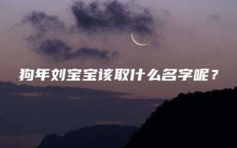 狗年刘宝宝该取什么名字呢？