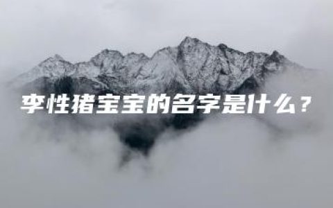 李性猪宝宝的名字是什么？