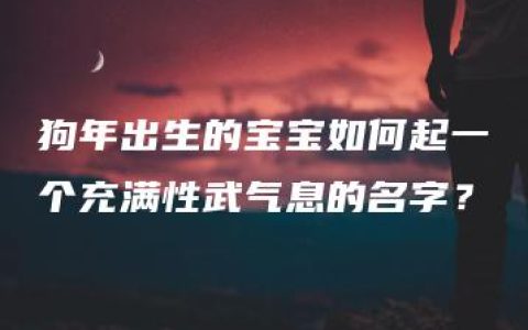 狗年出生的宝宝如何起一个充满性武气息的名字？