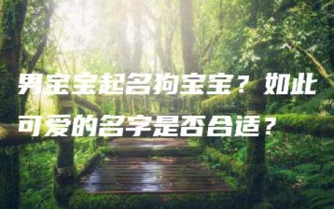 男宝宝起名狗宝宝？如此可爱的名字是否合适？