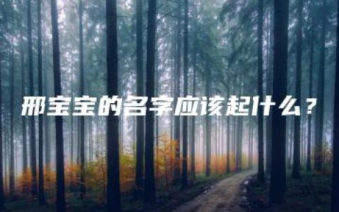 邢宝宝的名字应该起什么？