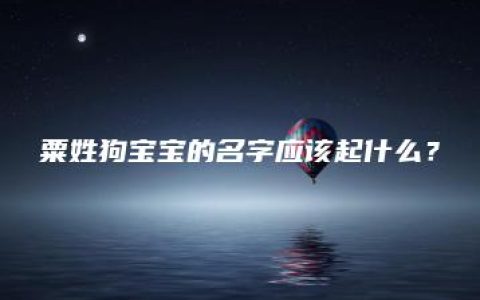 粟姓狗宝宝的名字应该起什么？