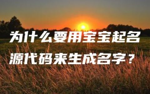 为什么要用宝宝起名源代码来生成名字？